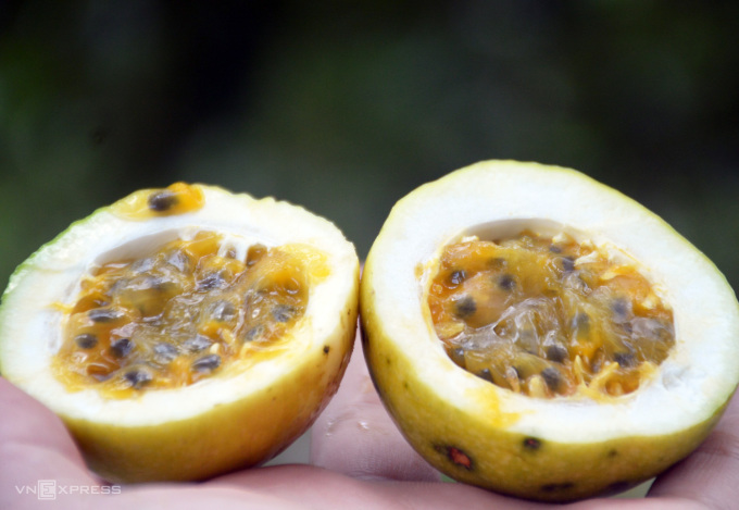 Sweet passion fruit has an appearance no different from the regular variety, but has a unique taste.  Photo: An Minh