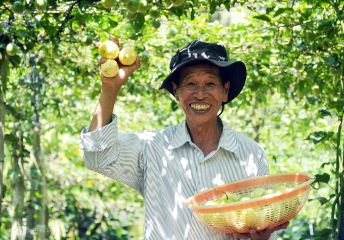 Mr. Cong harvests sweet passion fruit and delivers it to customers.  Photo: An Minh