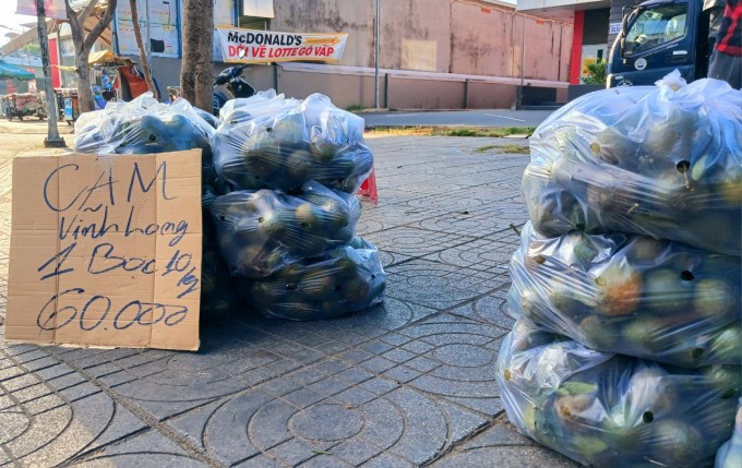 Vinh Long oranges are piled up for sale on Quang Trung street (Go Vap).  Photo: Thi Ha