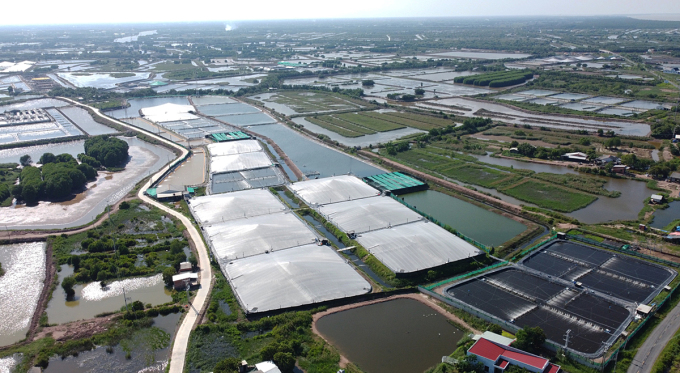 Mr. Ba Sam's high-tech ponds are covered with white roofs seen from above.  Photo: Hoang Nam