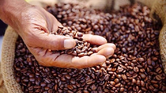 Latest coffee prices domestically and globally on 06/17/2024