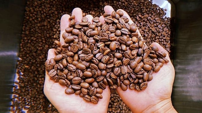 Coffee prices domestically and globally on 06/12/2024