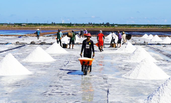 The salt pile covered with tarpaulin of Mr. Phan Van Phuc's family.  Photo: An Minh