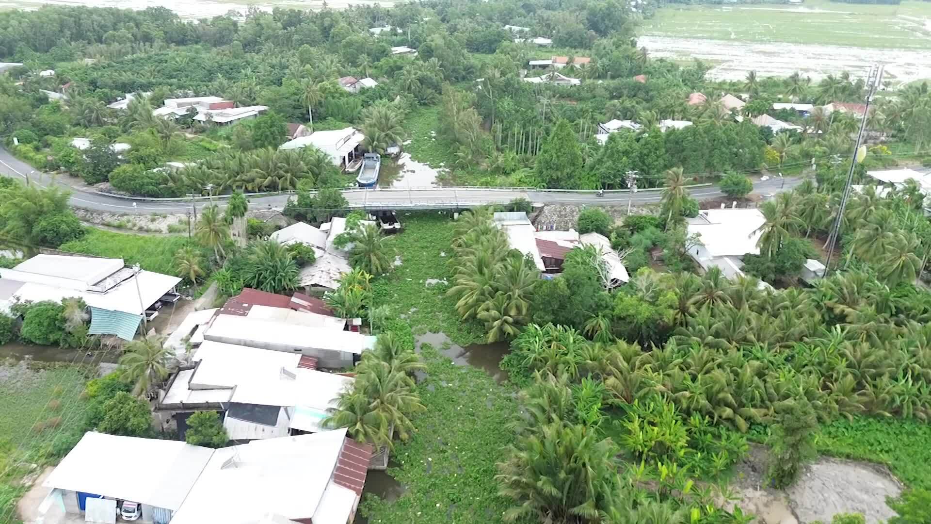 Boats face difficulties due to water hyacinth covering canals in the West