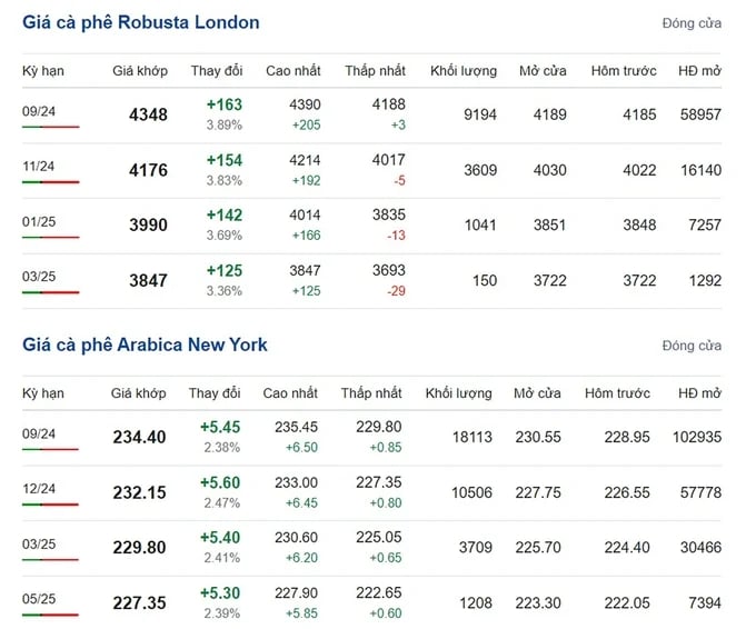 Latest Arabica and Robusta Prices on 07/09/2024