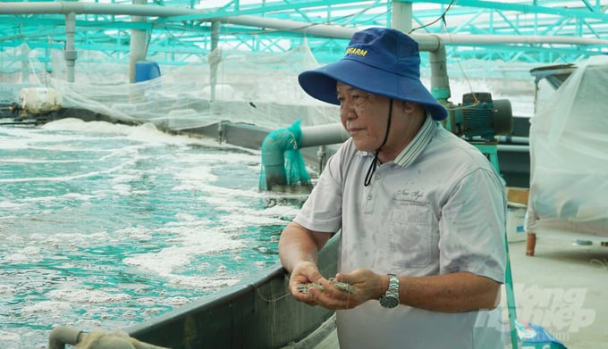 Mr. Nguyen Kim Chuyen, Director of Quyet Thang Agricultural Cooperative, fell in state of stressful due to the sharp decline in shrimp prices. Photo: Le Binh.