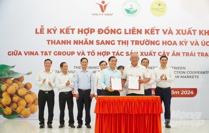 Contract signing ceremony for the linkage and export of longan to the United States and Australia between Vina T&T Group and Trang Ti Garden Fruit Production Cooperative. Photo: Kim Anh.