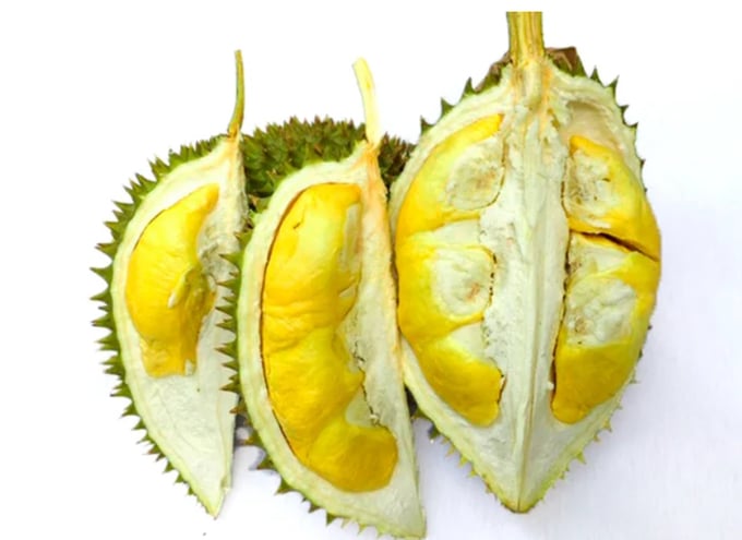 The Ri6 durian grown in Ben Tre has an edible ratio of up to 32.85%. Photo: Minh Dam.