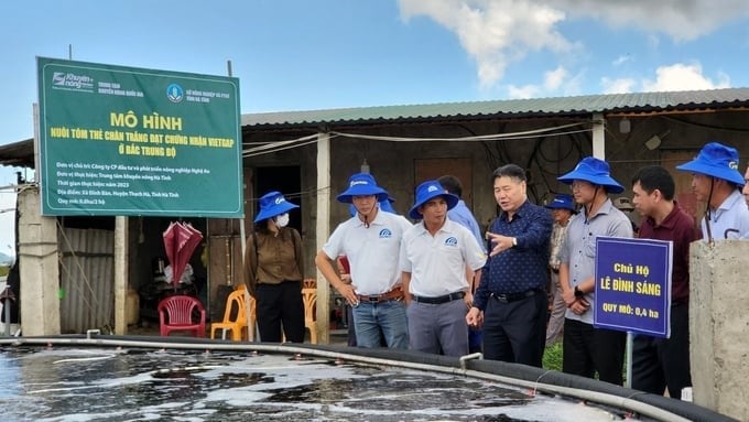 Mr. Le Quoc Thanh, Director of the National Agricultural Extension Center (4th from the right), inspects and evaluates the shrimp farming model meeting VietGAP standards in Ha Tinh. Photo: Anh Nguyet.