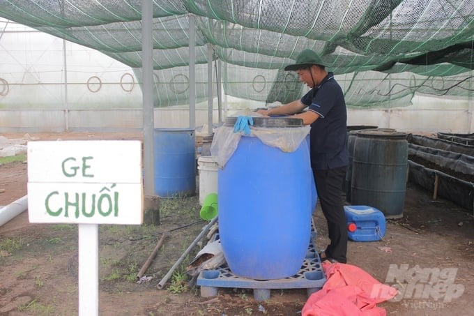 Unifarm applies many creative solutions to compost and extract banana enzymes to meet green, closed circular production. Photo: Tran Trung.