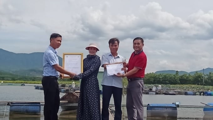 Awarding VietGAP certification to the red tilapia cage farming model in Ky Anh town. Photo: Anh Nguyet.