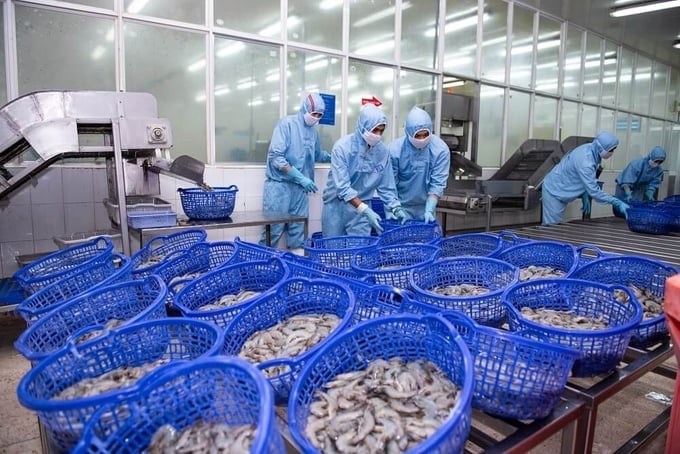 To export seafood to China, production facilities must undergo a food safety assessment and certification by the NAFIQPM. Illustrative photo.