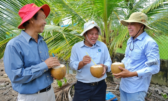 Soc Trang Province's Department of Crop Production and Plant Protection inspects coconut production in the area. Photo: Bao Thang.