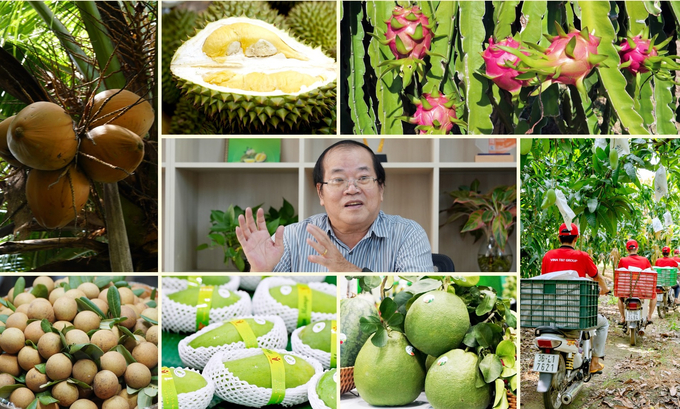 In 2023, China imported 7.52 million tons of fruits, worth USD 16.85 billion. Photo: Nguyen Thuy.