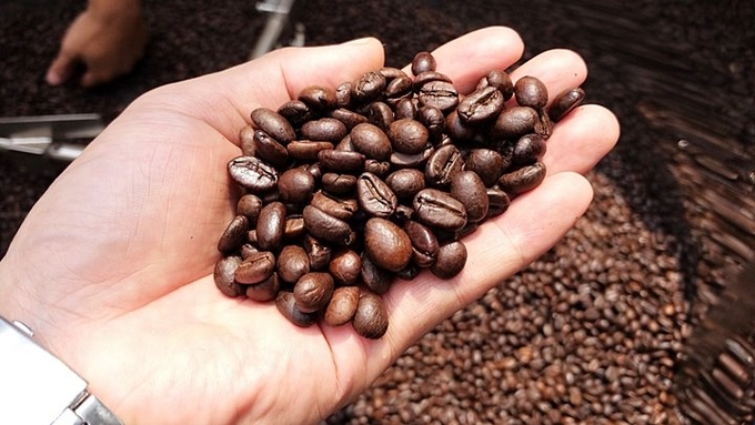 Latest Arabica and Robusta prices on 09/18/2024