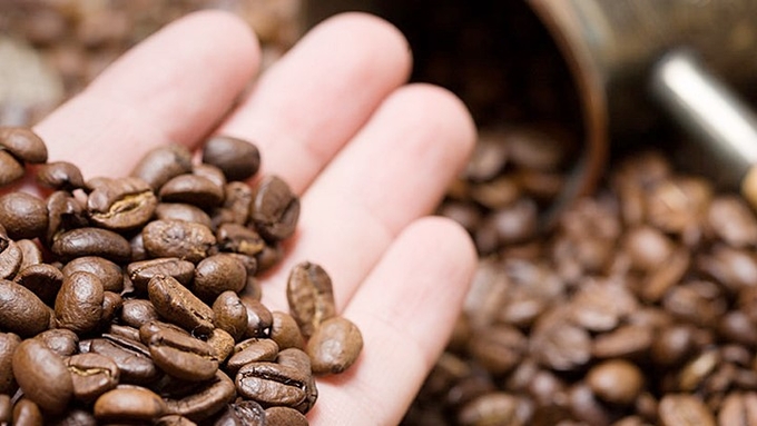 Latest domestic and global coffee prices on 09/16/2024