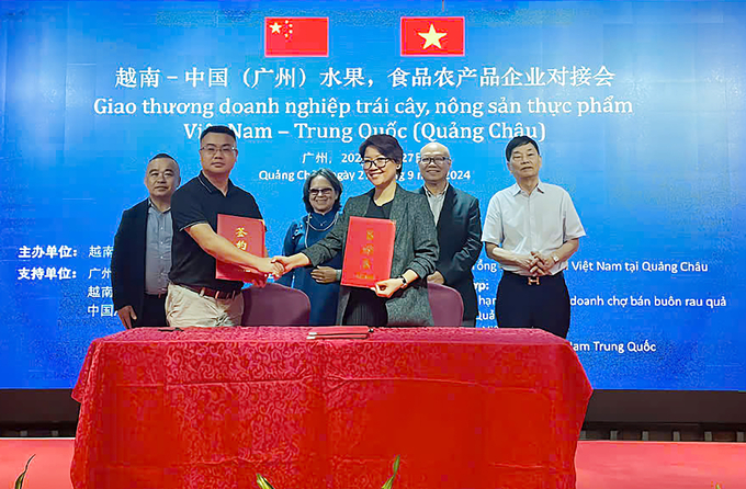 Ben Tre Import-Export Joint Stock Company (Betrimex) signed a memorandum of understanding with the Jiangnan-Guangzhou Fruit Import Association. Photo: D.K.