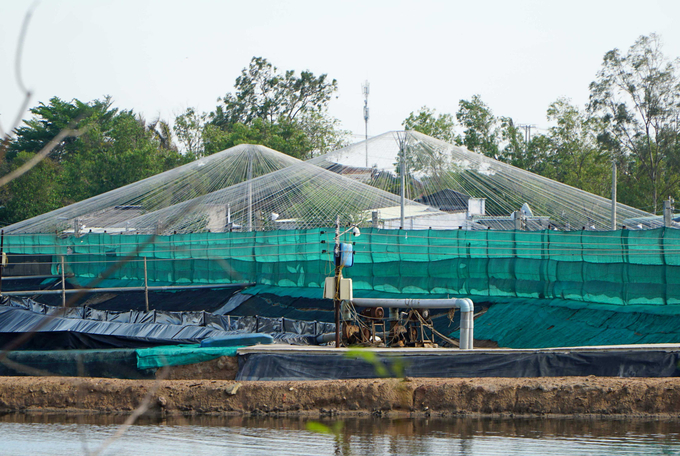 A high-tech shrimp farming facility in Ba Ria - Vung Tau. Photo: Son Trang.