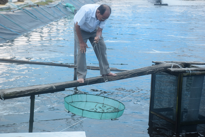 Nguyen Ngoc Chau inspecting the development of shrimp in his farm. Photo: V.D.T.