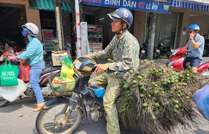 Areca nut prices at record levels make areca nut growers excited. Photo: NV.