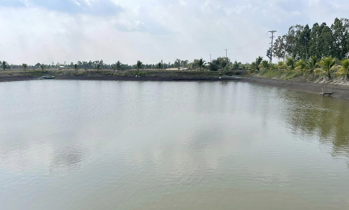 A catfish farming pond in the Mekong Delta. Photo: Son Trang.