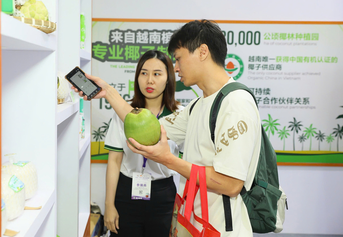 Beijing residents show great interest in fresh Vietnamese coconuts. Photo: Nguyen Thuy.