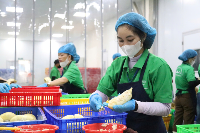 Vietnam’s agricultural production industry is increasingly meeting many standards, increasing the economic value of agricultural products. Photo: MQ.