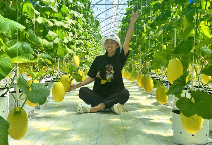 Tourists visit the Cantaloupe Farm using Israeli technology, meeting 4-star OCOP standards in Chau Thanh district. Photo: Quang Loi