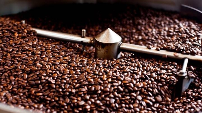 Latest domestic and global coffee prices on 11/01/2024