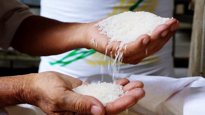 gia-lua-gao-hom-nay-000236_975-135549-100940-1-181510_486.jpg Latest update on rice and paddy prices on November 18, 2024