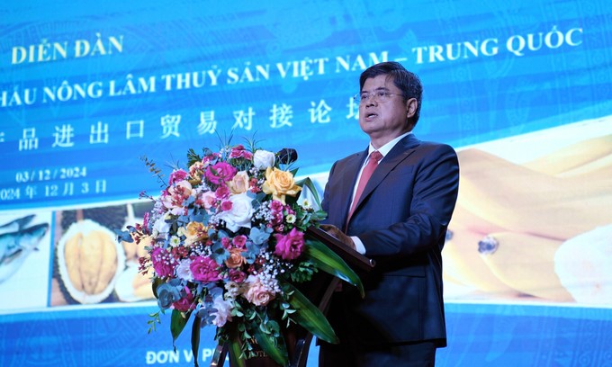 Deputy Minister Tran Thanh Nam concluded the forum on the morning of December 3 in Lang Son province. Photo: Bao Thang.