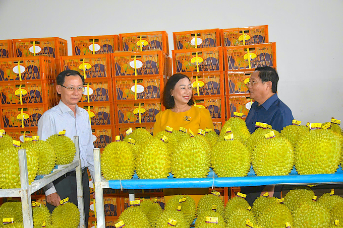 Durian exports are forecasted to reach a record 3.5 billion USD for the whole year. Photo: Minh Dam.