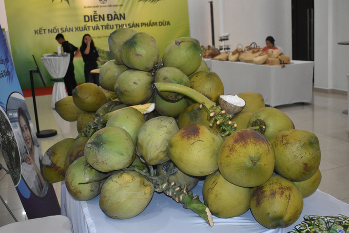 Coconut products were displayed at the forum on the morning of December 13. Photo: Minh Dam.