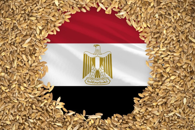 Egypt is among the world’s largest wheat importers and subsidized bread is a staple for 70 million of its people.  