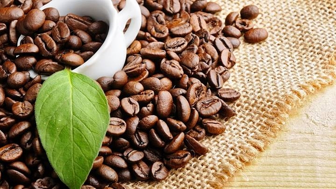 Latest domestic and global coffee prices as of December 16, 2024