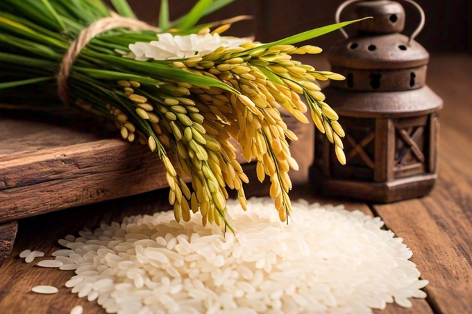 Latest rice and paddy prices update on December 24, 2024