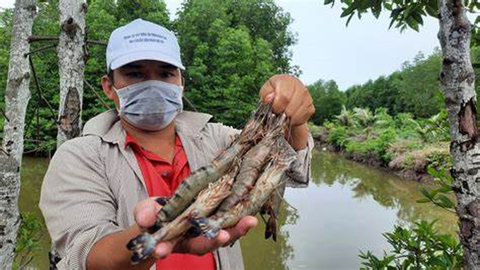 Need to change thinking. Instead of chasing output and high technology, we need to focus on the sustainability and efficiency of the shrimp industry.