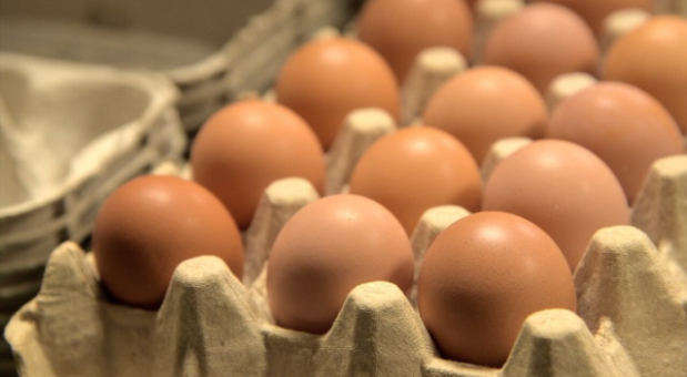 Data from the USDA shows more than 20 million egg-laying chickens in the U.S. died last quarter because of bird flu. Photo by: James Dobson/MTN News file.