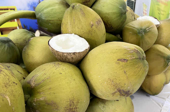 Fresh Vietnamese coconuts have been officially exported to China. Photo: Thanh Son.