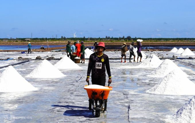 The salt salt harvest in Hoa Binh district, Bac Lieu province. Photo: An Minh