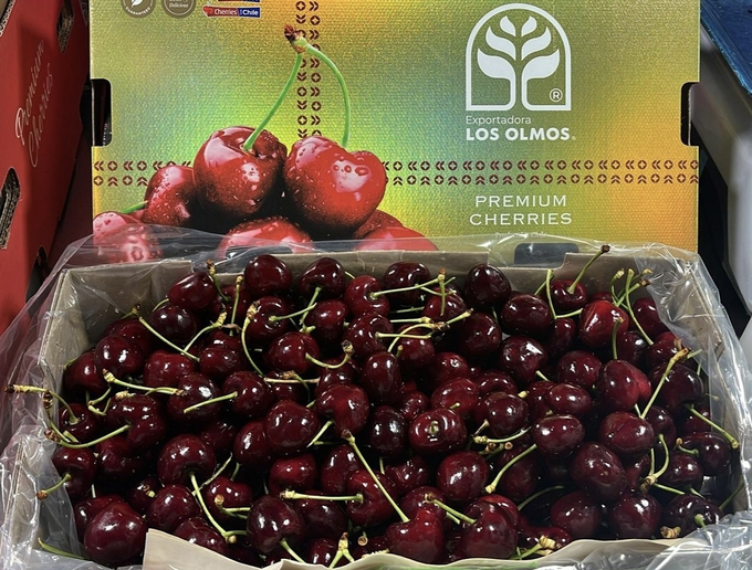 Chilean imported cherries are priced at their lowest in many years, with small-sized cherries being sold for  5.9 USD at a market in Ho Chi Minh City. Photo: Freshplaza.