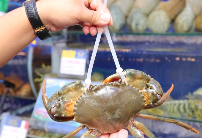 In 2025, Vietnam's crab exports to the Chinese market promise to be very positive.