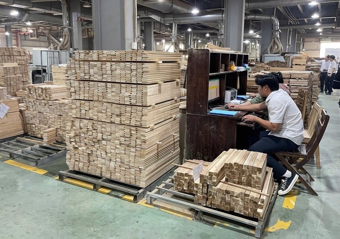 Binh Dinh currently has more than 350 export wood processing enterprises and facilities, with about 30,000 workers participating. Photo: V.D.T.