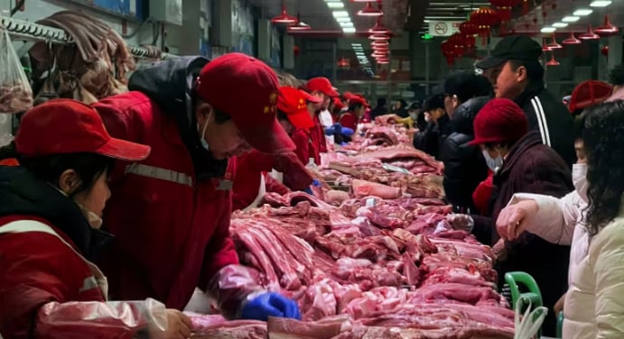Dalian pork futures are down around 40% from their most recent peak in October 2022. Photo: Reuters. Dalian pork futures are down around 40% from their most recent peak in October 2022. Photo: Reuters.