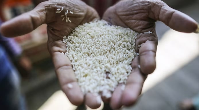 A worker holds rice at a warehouse in Mumbai, India. Photo: Dhiraj Singh/Bloomberg. A worker holds rice at a warehouse in Mumbai, India. Photo: Dhiraj Singh/Bloomberg.