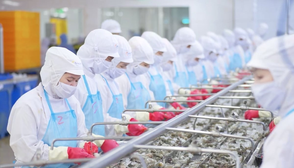 Vietnam's key agricultural exports to Belarus include seafood, rice, cassava, cashew nuts, and tea. Photo: M.P. Vietnam's key agricultural exports to Belarus include seafood, rice, cassava, cashew nuts, and tea. Photo: M.P.