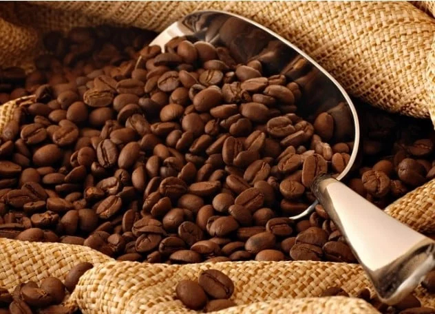 Domestic coffee prices today (April 2, 2025) have shown a slight decline compared to the previous trading session. Photo: Internet.
