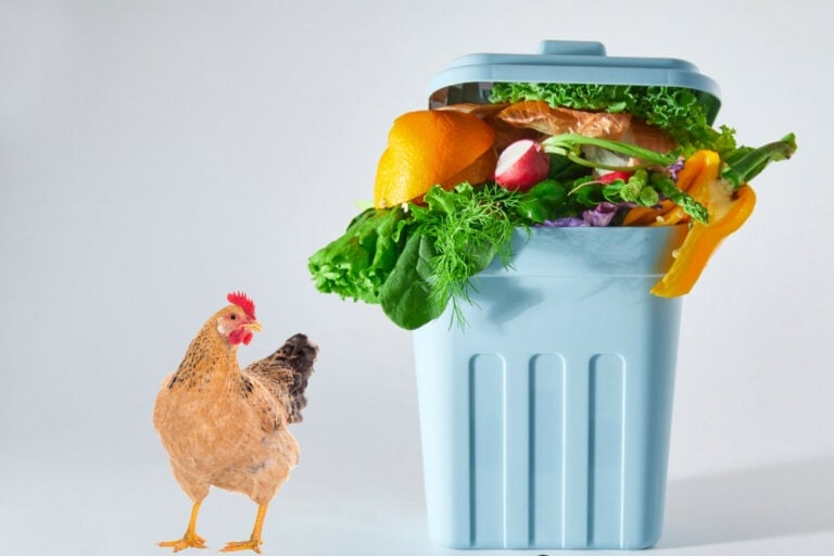 Egypt generates around 65 million tonnes of potentially useful waste per year. Photo: Canva. Egypt generates around 65 million tonnes of potentially useful waste per year. Photo: Canva.