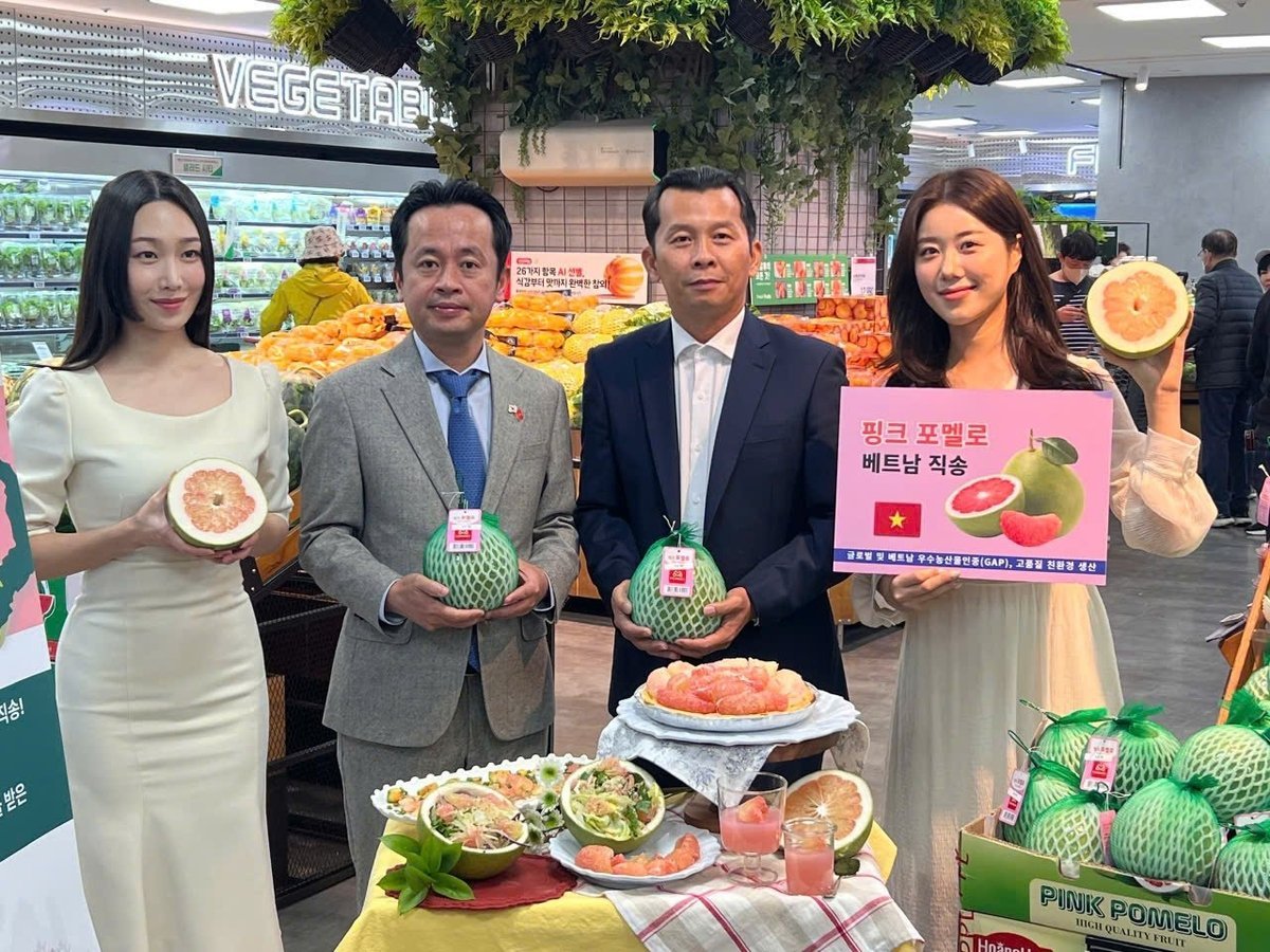 Vietnamese pomelos at Lotte Mart in South Korea. Vietnamese pomelos at Lotte Mart in South Korea.