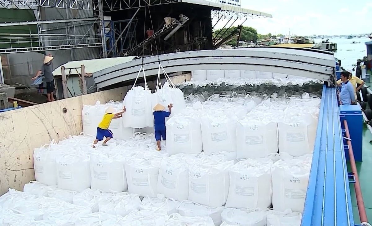 Rice export prices recovered in the early days of May. Photo: Ha Duyen. Rice export prices recovered in the early days of May. Photo: Ha Duyen.